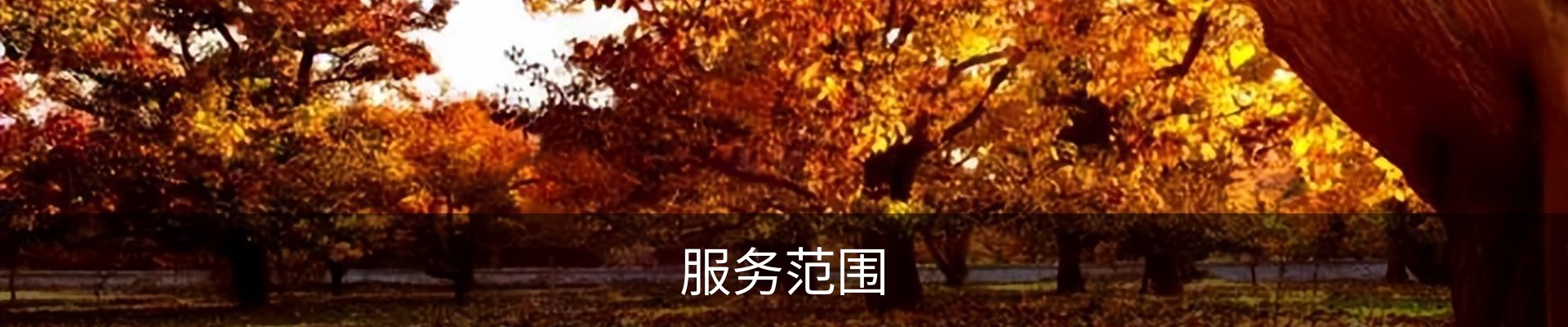 服务范围